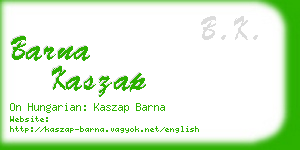 barna kaszap business card